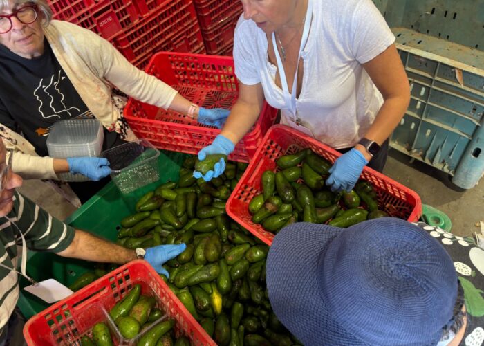 WhatsApp Image 2025-10-28 at 5.24.48 PM