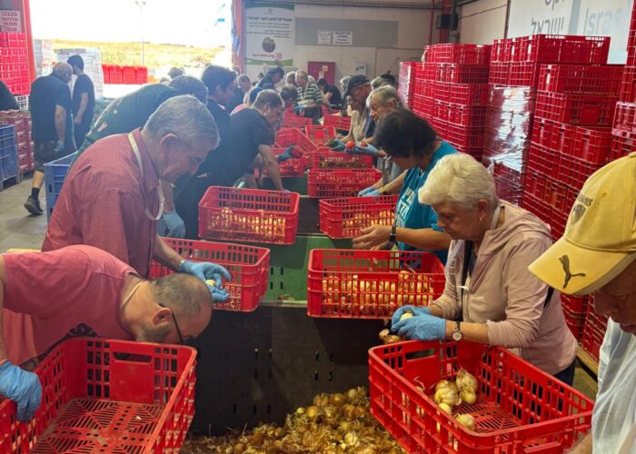 WhatsApp Image 2025-10-28 at 5.24.51 PM