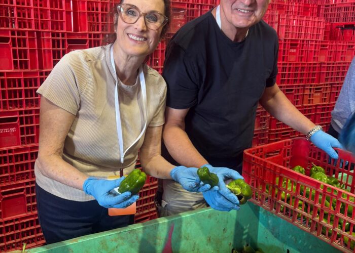 WhatsApp Image 2025-10-28 at 5.24.53 PM